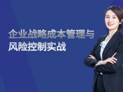 企业战略成本管理与风险控制实战图1