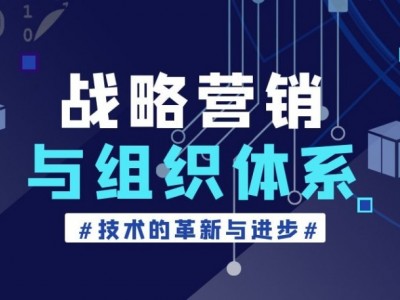 战略营销与组织体系图1