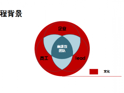 持续激活文化赋能-高效团队建设与管理图2