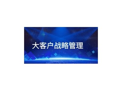 大客户战略管理
