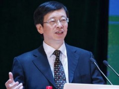 陈少峰