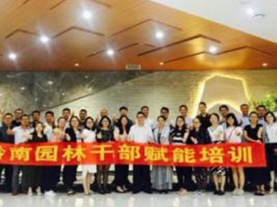 问题分析与决策