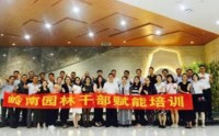 问题分析与决策