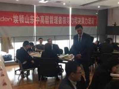 The Leader's Edge 问题分析与解决