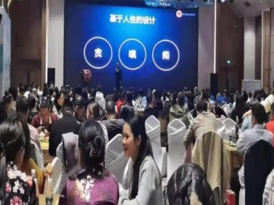 高效执行力——打造超强战斗力的强悍团队