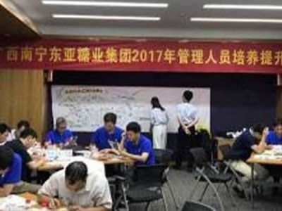 创新思维与问题解决（工作坊）