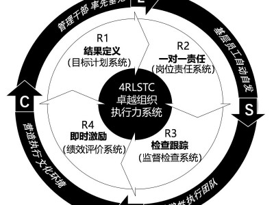 卓越组织执行力系统建设,从游击队到正规军图1