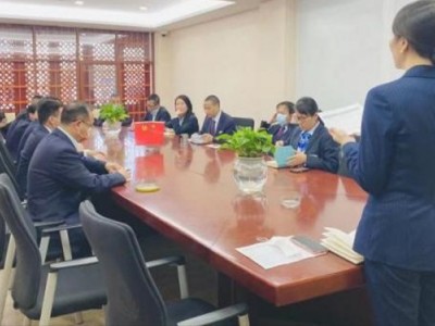 职场精英职业化塑造
