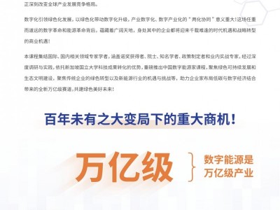 新加坡国立大学中国数字能源家项目简章图2