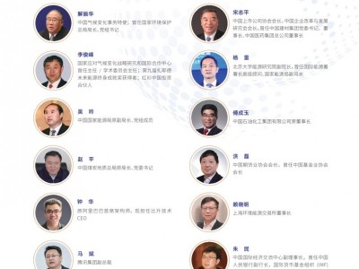 新加坡国立大学中国数字能源家项目简章图6