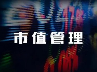市值管理与实务