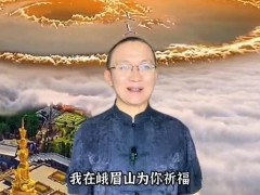 中国国学百家讲堂2023中国企业家禅修峨眉山祝福视频