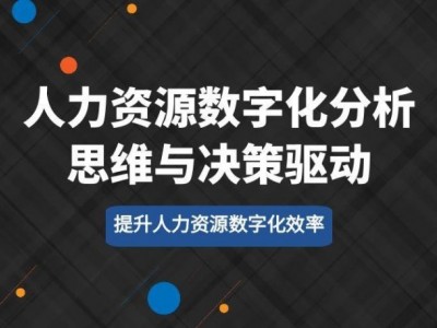 人力资源数字化分析思维与决策驱动