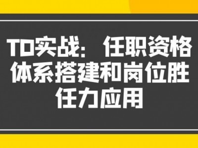 TD实战：任职资格体系搭建和岗位胜任力应用
