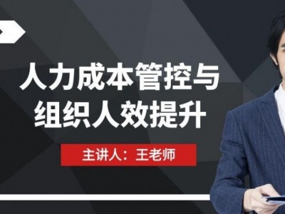 人力成本管控与组织人效提升